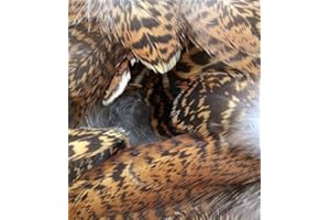 VENIARD Grouse Hackles, Fly Tying Feathers, For a range of Fly Patterns 30 Per pack TURR