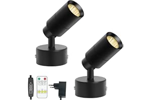 Monsing LED Spot Lights, Cabinet Light, Picture Lights, Accent Lights, Wall Lamp with Switch and Plug, 5 W, 3000 K, Dimming, Timing, Wireless Controller, Uplit Floor Spotlight, Plant Picture, Artwork