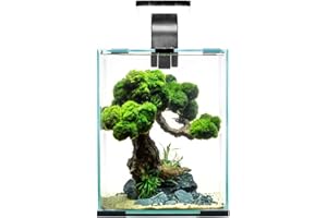 AQUAEL 122980 - Set da sci DAY&NIGHT 30, 6,05 kg, colore: Nero