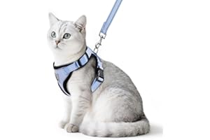 PUPTECK Cat Harness and Lead Set Escape Proof Reflective Cat Walking Harness Adjustable Soft Breathable Mesh Vest for Small Pets, Sky Blue S