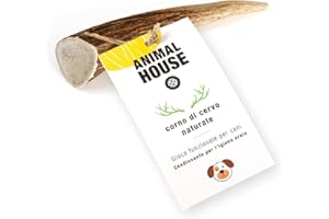 Animal House - Corna di Cervo per Cani Intere - Masticativo Naturale al 100% - Rafforza Igiene Orale - Resistenti e Duraturi - Disponibili in Tutte Le Taglie - Cruelty Free (XS)