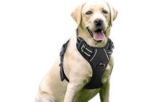 rabbitgoo Harnais Chien Anti Traction, Arnet pour Chiens avec Poignée Contrôl, Facile à Mettre, Gilet Réfléchissant Réglable avec Attache Devant, Harnais pour Chien Moyen Grand, Noir, L
