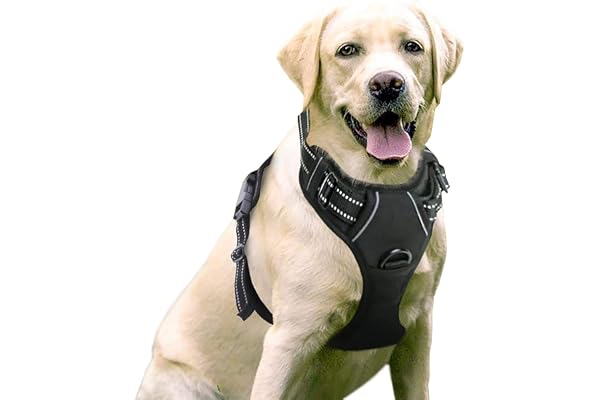 rabbitgoo Harnais Chien Anti Traction, Arnet pour Chiens avec Poignée Contrôl, Facile à Mettre, Gilet Réfléchissant Réglable avec Attache Devant, Harnais pour Chien Moyen Grand, Noir, L