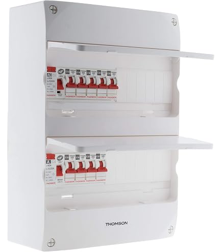 Thomson Prise Modulaire Double 16A 2P+T Pour Tableau Électrique - Norme NF, 250V, 3500W