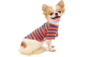 LOPHIPETS Hunde-T-Shirt, 100 % atmungsaktive Baumwolle, gestreift, für kleine Hunde, Chihuahua, Welpen, gestreift, Orange und Blau, Größe M