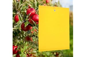 Y.A. LOTUS 50 Puissant Pièges Collants Double Face, Pièges à Insectes Volants pour Blanc Feuille de Mouches, Les Pucerons, Jardin Plante Fleur Fruits Protection, avec Attaches de Câble(15x20 cm)