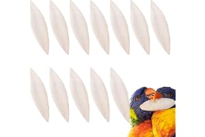 Sepiaskal Till Sköldpaddor 12-Pack Naturlig Gnagleksak | 9-12 Centimeter Sköldpadds Ben för Sköldpadda, Dvärgpapegoja, Sällskapskakadua, Papegoja, Reptil, Skäggagam, Conure, Fink