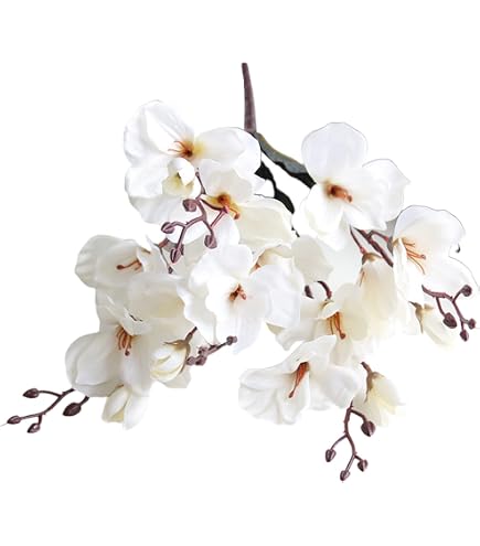 Amazon.de: Knstlicher Zweig Deko Magnolien, 4 Blten wei, Hhe 107cm -  Blhender Magnolienzweig Dekozweig mit Knospen