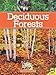 Produktbild Deciduous Forests (Ecosystems)