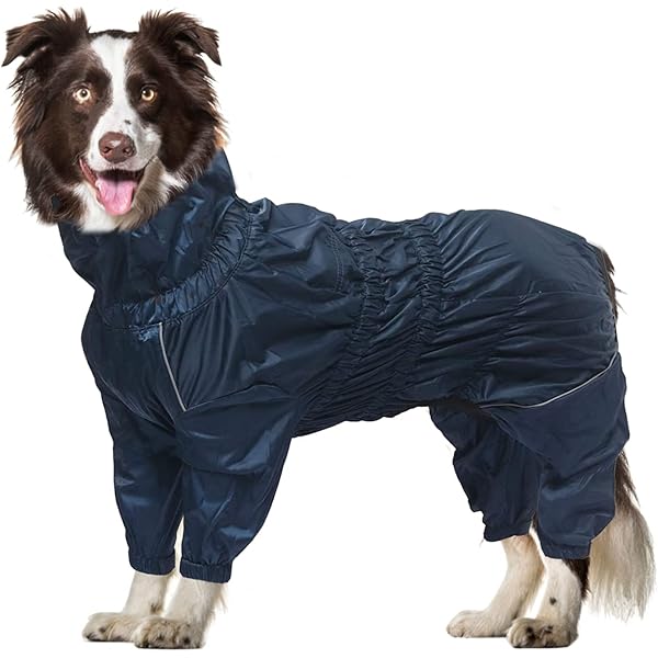 HOWLIDAYS CO. Baja Coastline Regenjacke Für Hunde - Wasserdicht & Verstellbar