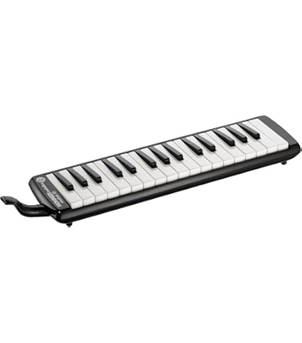 Suzuki B 24 °C Bass Melodion : Amazon.de: Musical Instruments & DJ Suzuki B 24 °C Bass Melodion : Amazon.de: Musical Instruments & DJ