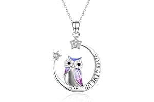 YFN Owl Pendant Necklace Jewellery Sterling Silver Gift Never Give Up Inspiration Necklace for Women Girls (Owl Moon Necklace)