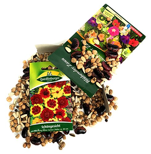 Premium Blühender Zaun inkl. 1 Pkg. Schöngesicht kostenlos - 4