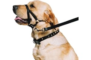 Ancol Ronzal de Entrenamiento para Perro