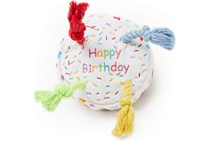 Pet London Jouet couineur en Forme de gâteau d'anniversaire pour Chien avec Bougies en Corde dans des Couleurs Vives Amusantes – Célébrez Le Joyeux Anniversaire de Votre Chien – Peluche Arc-en-Ciel