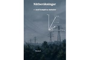 Nätberäkningar: med komplexa metoder