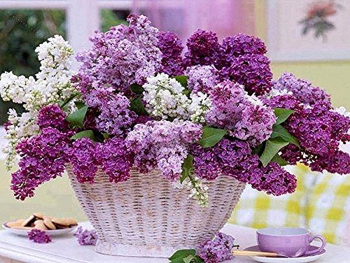 Set Diamond Painting Bild Handarbeit Basteln Mosaik Steine Blumen Korb Pink Rosa