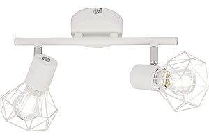 Fischer & Honsel Rail de spot Ran 2 x E14 max. 40 W Blanc 20392 25 x 8 x 18 cm (L x l x H)
