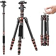 K&F Concept 61" Carbon Fibre Camera Tripod, Lightweight Compact Tripod with 2 Sections Central Column, Low Profile Ball Head and Carry Bag for DSLR Camera