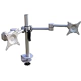 Rife Dual Monitor Heavy Duty Aluminum Desk Stand, Fully Adjustable, Fit Screen up to 32 inch, 33 lbs Each, VESA 75 and 100mm,