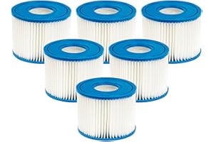 Benfosh Lot de 6 cartouches filtrantes de piscine type S1 compatibles avec Intex PureSpa 29001E PureSpa Catridge