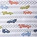 Halo SleepSack Swaddle Fleece (0-6 Months, Race Car Track)