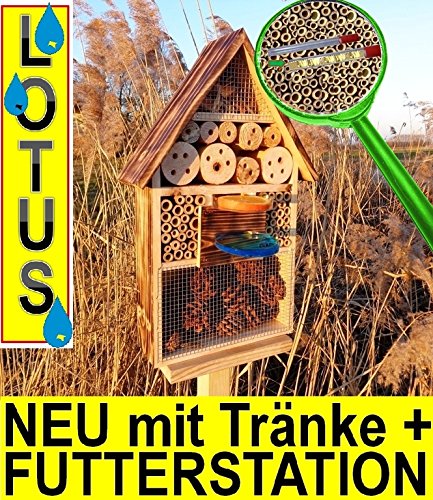 Gartendeko Nistkasten 50 cm groß hell GEFLAMMT RUSTIKAL, für Marienkäfer Schmetterling INSEKTENHOTEL,LOTUS-AUSFÜHRUNG (mit wasserabweisender Oberfläche), MIT 2 x SICHTGLAS ca. 8 mm und 11 mm (2 BEOBACHTUNGSRÖHRCHEN aus Glas, mit Zellstoff-Verschluss und Anflughilfe) MIT TRÄNKE SD und FUTTERPLATZ, Futterstelle,Insektenkasten, Insektenhaus, funktionelle Garten Deko passend zum Vogelhaus oder Vogelhäuschen