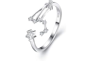 Clearine Anello Argento 925 zircone Oroscopo Zodiaco 12 Costellazione Astrologia Regolabile Statemente Anello