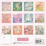 Image de Forest Fairies wall calendar 2016 (Art calendar)