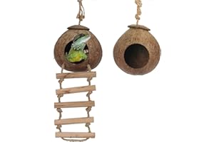 PINVNBY Yoicn Lth Nido de gecko natural de concha de coco para reptiles, jaula de cama de juguete con escalera para colgar, para lagartos, camaleón, gecko, serpientes, animales pequeños, 2 unidades