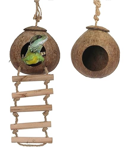 WEKAMOS Kokosnuss Versteck Für Reptilien - Mit Leiter & Naturgetreuem Design Für Geckos, Krustentiere & Mehr