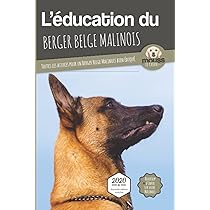Promotion Exclusive Sur Les Plaques Attention Au Chien