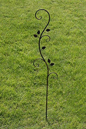 CLP Pflanzen-Rankstab AROSA aus Eisen, Höhe 125 cm, Rankhilfe für Kletterpflanzen bronze - 4