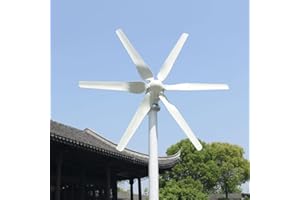 Genway 12V 48V 48V 800W Windgenerator Windkraftanlage Horizontaler Windturbine mit 6 Flügeln und kostenlosem MPPT Controller für Zuhause