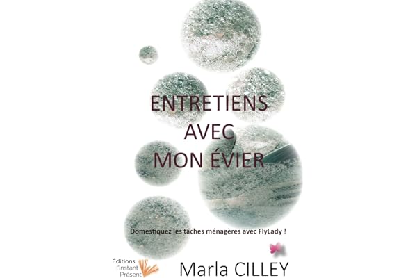 Entretiens avec mon évier: Domestiquez les tâches ménagères avec FlyLady
