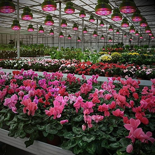 Pflanzenlampe TaoTronics LED Pflanzenlampen 36W E27 vollspektrum Wachstum Tageslicht Pflanzenleuchte für Garten Gewächshaus Zimmerpflanzen Blüte Blume Gemüsse - 8