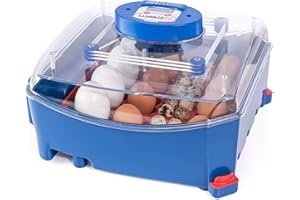 Borotto Lumia 16 Fully Automatic Incubator for 16 Eggs or 64 Small Eggs with Automatic Egg Turning Mechanism and Temperature Control Made in Italy