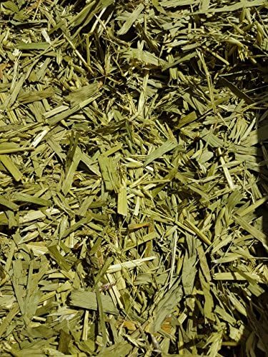 Organic Green Oats – Oats Green Oat Grass Terra Pura Oats 2 kg TOP Quality