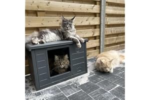 RHRQUALITY Domek dla kotów Villa de Luxe, do użytku wewnątrz i na zewnątrz, odporny na warunki zimowe, wymiary: 60 x 40 x 42 cm