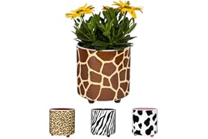 FISURA. Fisura – Cache-Pot Girafe Original en céramique. Pot de Fleurs décoratif intérieur avec Pieds. pour succulentes, Cactus ou Petites Plantes. 13 x 12,5 cm.