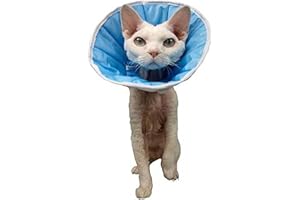 Grande Finale Collerette de Protection Souple Postoperatoire T0