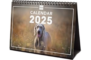 Finocam – International 2025 Desktop Photo Calendar Month View January 2025 – December 2025 (12 Months) Dogs International