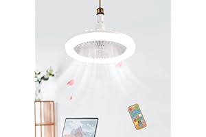 RABLUE Ceiling Fans with Lights & Remote Control, 180° Adjustable E27 LED Ceiling Fan Light, 25CM Ceiling Fans Built in Aromatherapy Tablets for Living Room,Dining Room,Bedroom,Office (White)