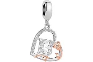 ZakiaHo 12 13 16 18 21 30 40 50 60 70 80 Birthday Charms for Bracelets Womens Rose Flower Love Heart Charm Beads Compatible with Pandora Bracelets