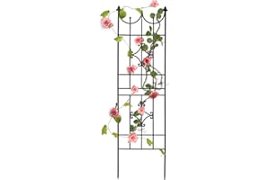 SCENDOR GARDEN Treillis Jardin Fer Set de 1 clôture Plante grimpante Grille Fleurs Arceau Rosier 180 x 50 cm, pour Roses et Plantes Grimpantes,Convient pour Le Jardin,Le Balcon