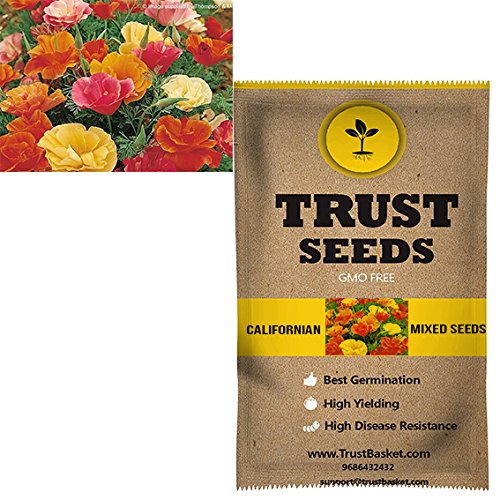 TrustBasket Californian Poppy Mixed Flowers Seeds (Green)