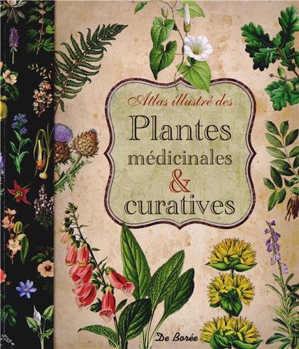 Plantes Medicinales et Curatives