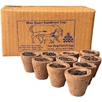 Maa Gauri Sambrani Dhoop Cups | 100% Natural Desi Cow Dung Guggul ...