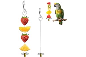 ShanBye Parrot Skewer Feeder,2 PCS Stainless Steel Bird Fruit Skewer Feeder Parrot Treats Holder Foraging Toy & Bird Cage Accessories for Budgie Parakeet Cockatiel Large Birds Toys and Feeders