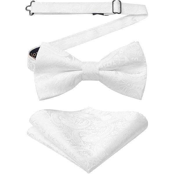 Alizeal Ensemble Nœud Papillon Pré-noué, Carré De Poche Et